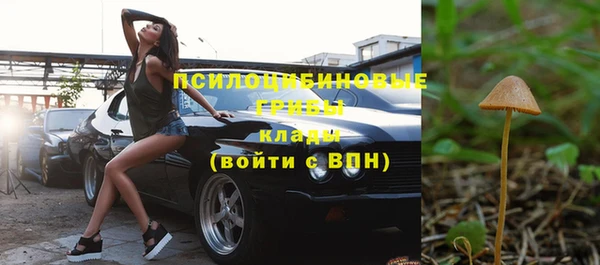 мдпв Вязьма