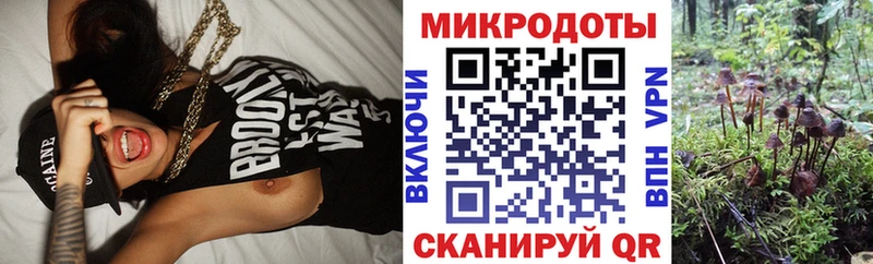 Псилоцибиновые грибы MAGIC MUSHROOMS  нарко площадка состав  Курск 