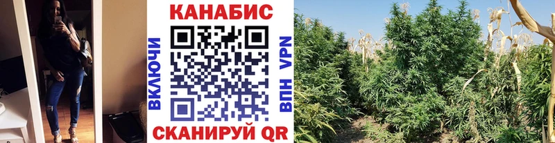 купить  цена  Курск  Марихуана гибрид 